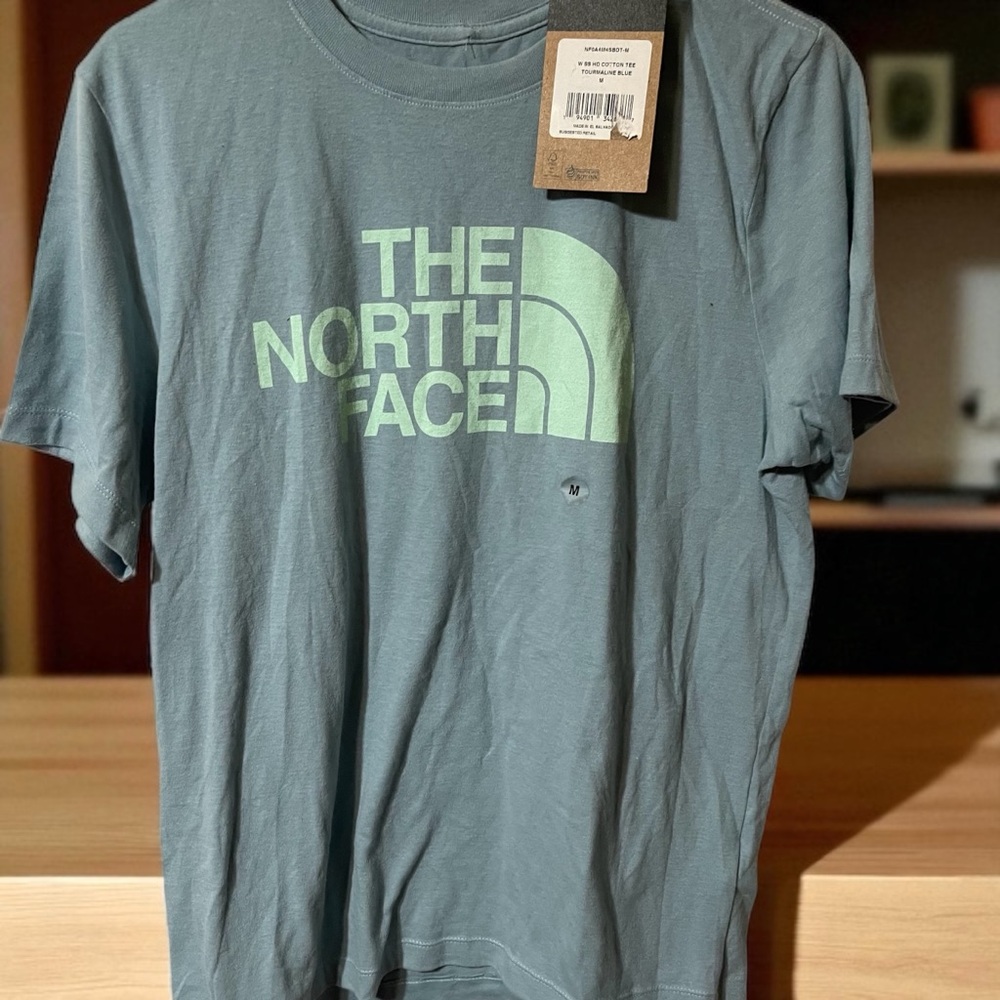 The North Face Men's Gray T-Shirt with Light Green Logo